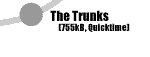 The Trunks