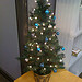 Non denominational holiday shrub